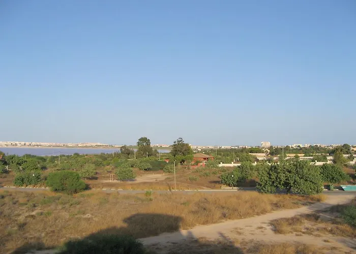 2 Bedroom Cozy In Appartement Torrevieja